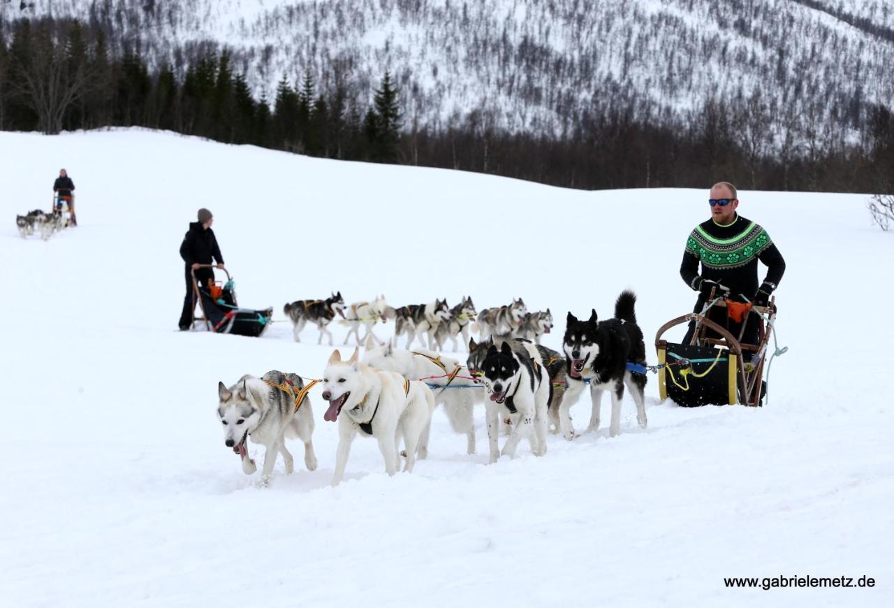 Skagi Bed & Lodge Skaland Екстер'єр фото